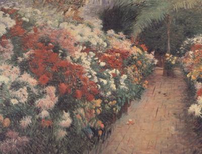 Chrysanthenums (nn02), Dennis Miller Bunker